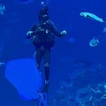 Del amor al mar a la conservación: Buceando en el Gran Acuario de Mazatlán