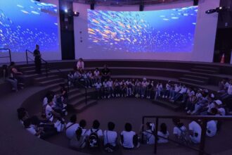 Descubre y protege el Mar de Cortés con la increíble experiencia "Explorando el Océano" en el Gran Acuario Mazatlán.