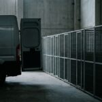 Más de 14 mil perros y gatos sacrificados en Zapopan en los últimos cuatro años