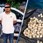 Detienen a individuo con nido de tortuga en Bahía de Banderas