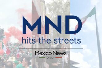 'La MND se hace presente en las calles': Una perspectiva de nuestro CEO