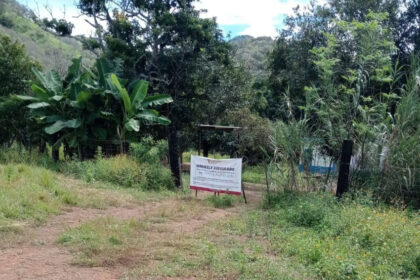 Madres buscadoras descubren presunto 'centro de exterminio' en Nayarit