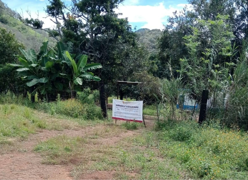 Madres buscadoras descubren presunto 'centro de exterminio' en Nayarit