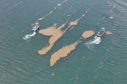 Nuevas llegadas de sargazo en Playa del Carmen marcan el inicio de octubre, ¡pero la disminución estacional ya está en marcha!